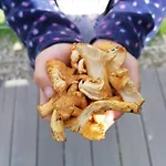 Rudle Vakantiehuis Swierkocin (Warmian-Masurian)