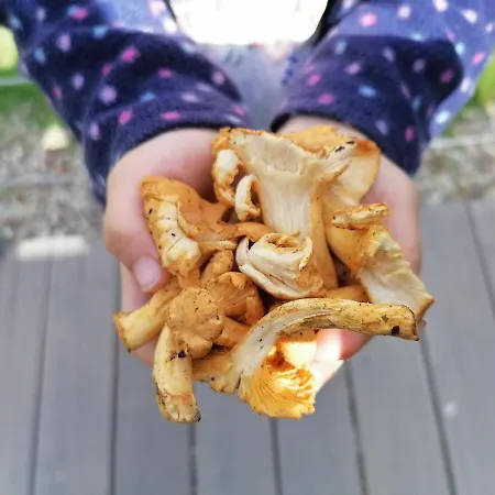 Rudle Сasa de vacaciones Swierkocin (Warmian-Masurian)